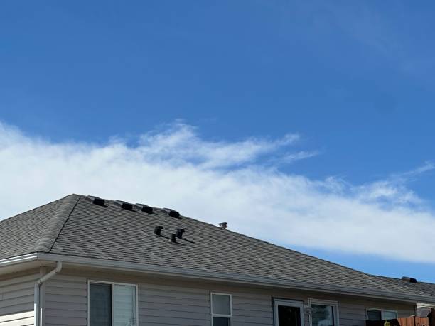 Best Gutter Installation and Repair  in Wolfe City, TX